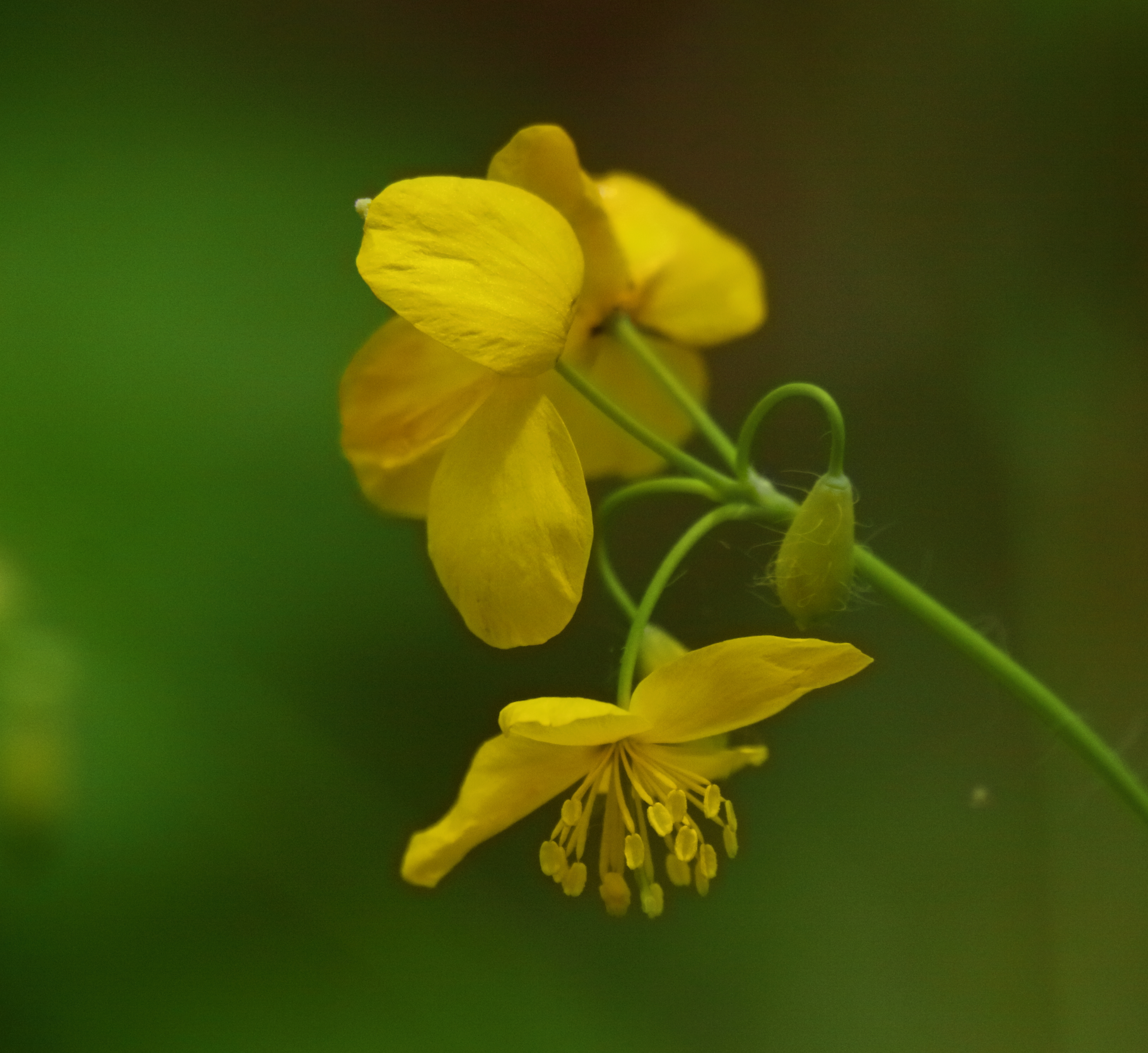 2015 05 16 HTP 000054619e